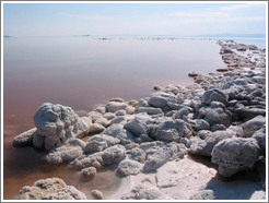 Pink water with white salt crystals, near the Spiral Jetty.