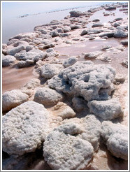 Pink water with white salt crystals, near the Spiral Jetty.