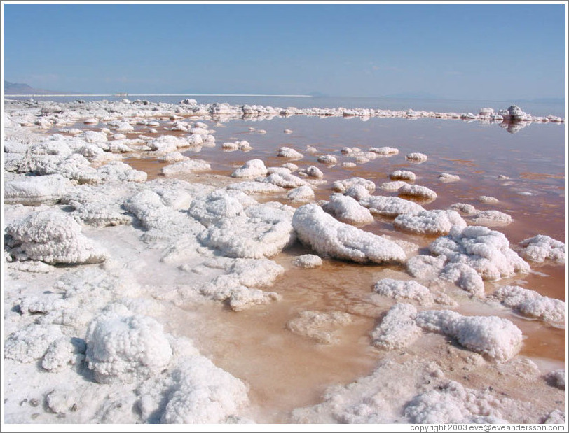 Pink water with white salt crystals, near the Spiral Jetty.