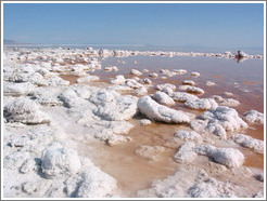 Pink water with white salt crystals, near the Spiral Jetty.