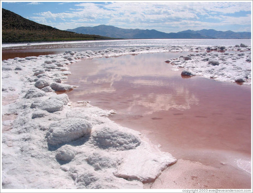 Pink water with white salt crystals, near the Spiral Jetty.  Reflections of clouds.