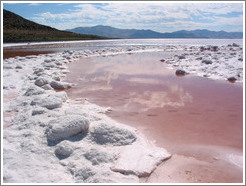 Pink water with white salt crystals, near the Spiral Jetty.  Reflections of clouds.