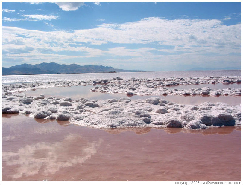 Pink water with white salt crystals, near the Spiral Jetty.  Reflections of clouds.