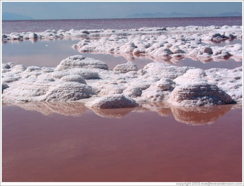 Pink water with white salt crystals, near the Spiral Jetty.