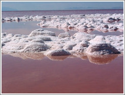 Pink water with white salt crystals, near the Spiral Jetty.