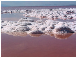 Pink water with white salt crystals, near the Spiral Jetty.