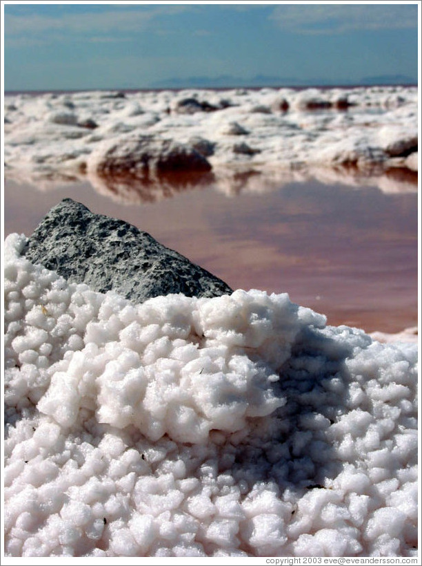 Rock covered with salt crystals; part of the Spiral Jetty.