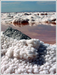 Rock covered with salt crystals; part of the Spiral Jetty.