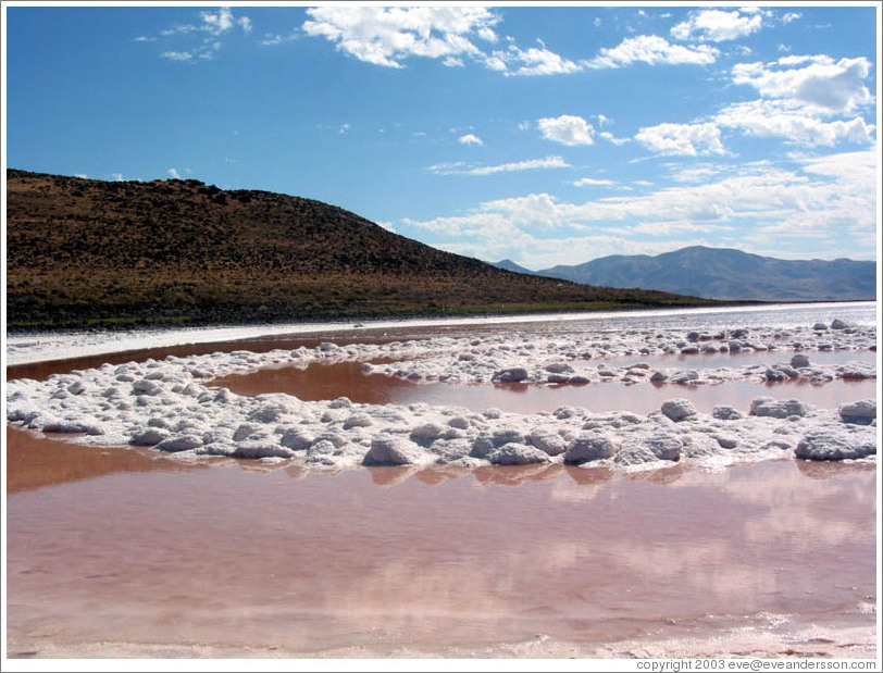Spiral Jetty