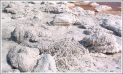 Crystalized salt covering rocks and tumbleweed on the Spiral Jetty.