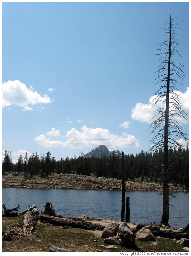 Lake in Wasatch Cache National Forest.