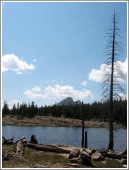 Lake in Wasatch Cache National Forest.