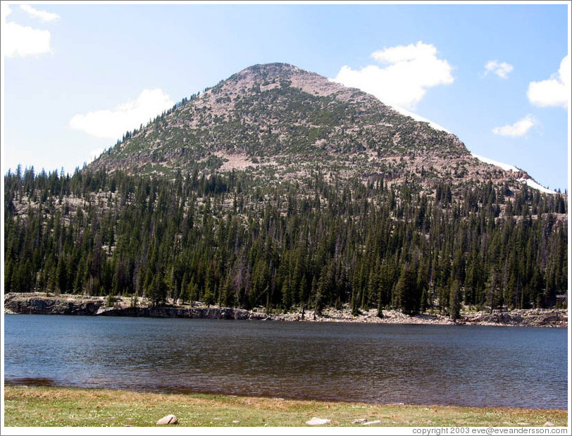 Wasatch National Forest. (Wasatch Cache National Forest