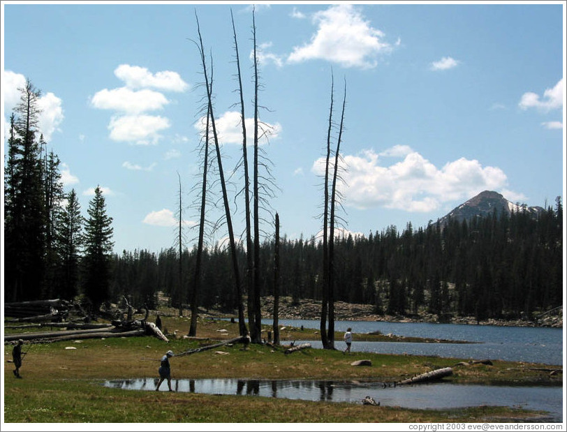 Lake in Wasatch Cache National Forest.