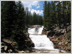 River in Wasatch Cache National Forest.