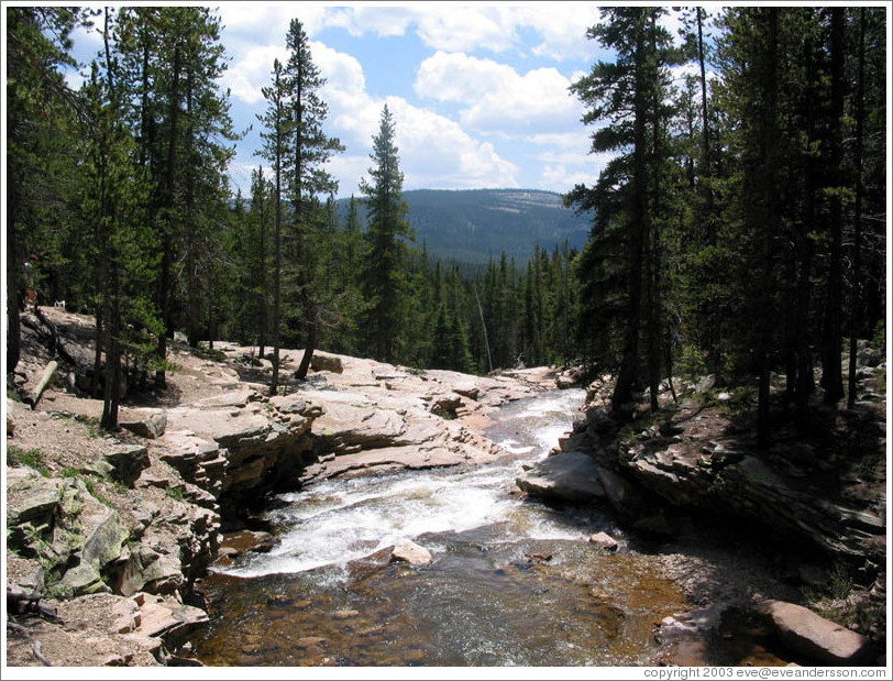 River in Wasatch Cache National Forest.