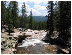 River in Wasatch Cache National Forest.