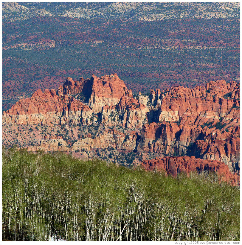 Waterpocket Fold area, as viewed from Boulder Mountain.