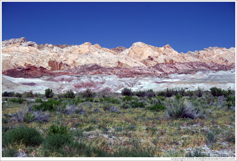 Wild Horse Road landscape.