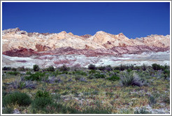 Wild Horse Road landscape.