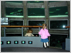 Seattle Aquarium.  Glass-walled dome with fish.
