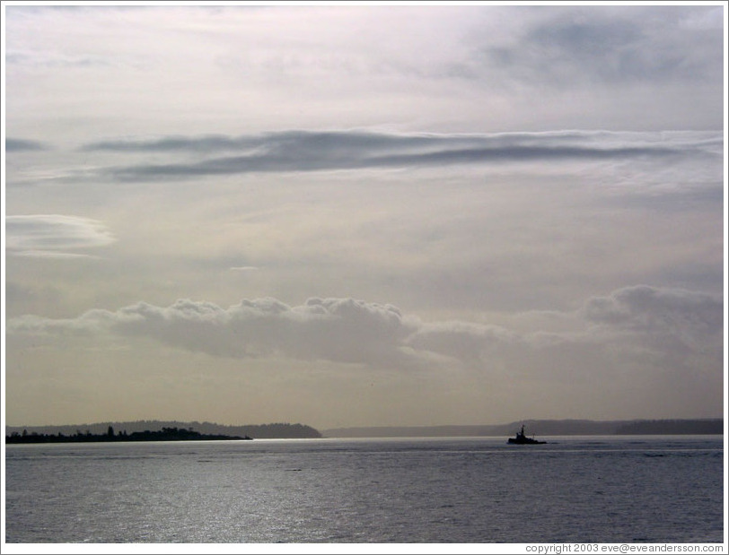 Harbor Cruise in Elliott Bay.  