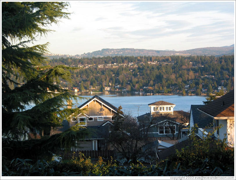 View of Lake Washington from my folks' house.