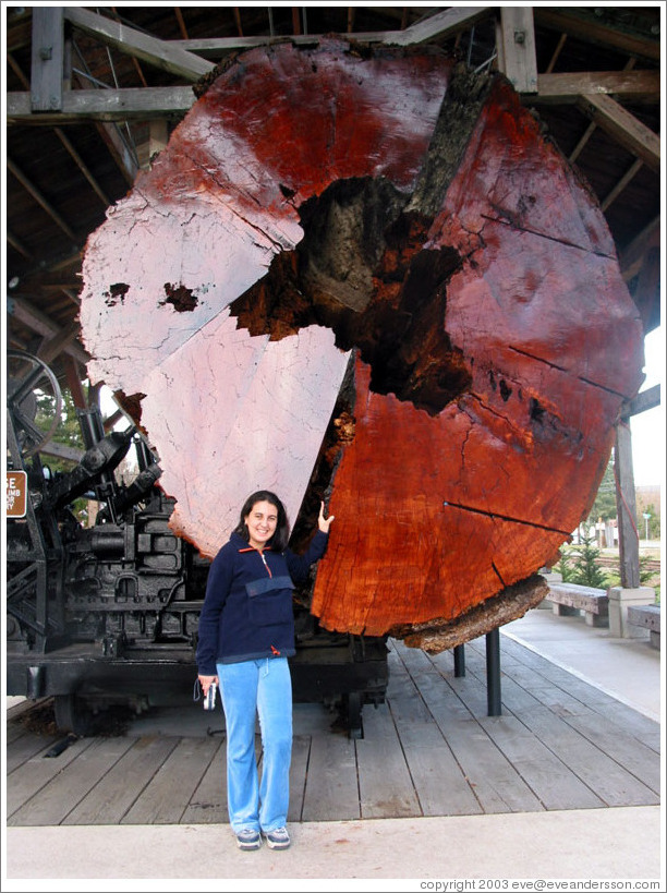 Lissette by big log.