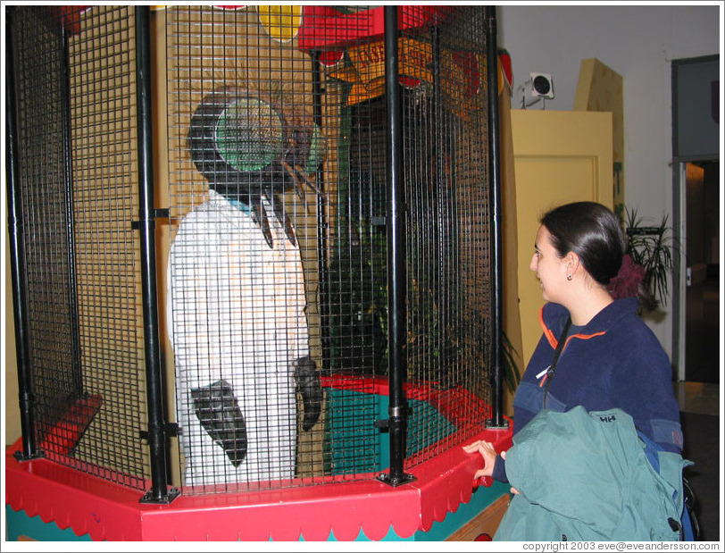 Lissette talking to a big bug.  Pacific Science Center.