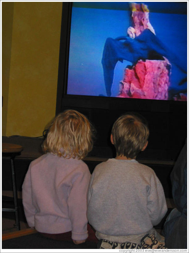 Kids watching a dinosaur video at the Pacific Science Center.