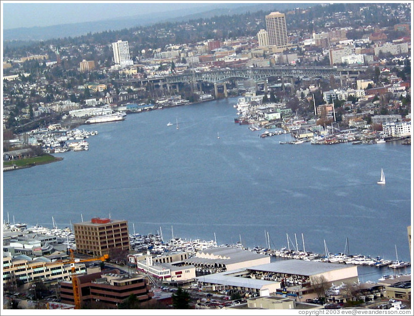 Lake Union as viewed from the Space Needle.