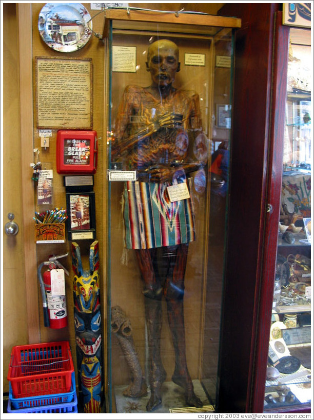 Ancient mummy at Ye Old Curiosity Shop.