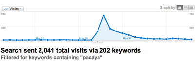 Google Analytics Search Keywords graph for pacaya